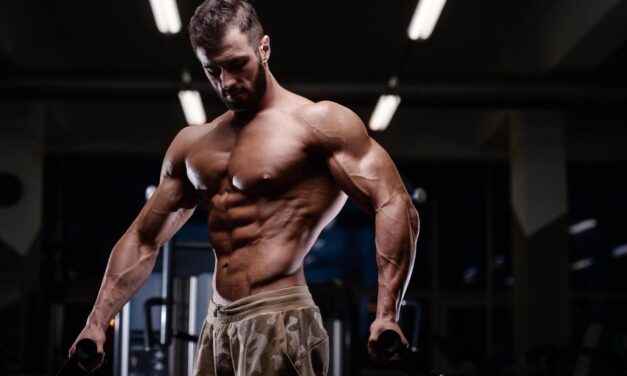 Vince muscle and fitness : Build Confidence Train Smarter, Not Harder